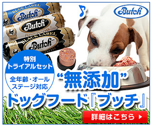 ブッチ 店頭販売